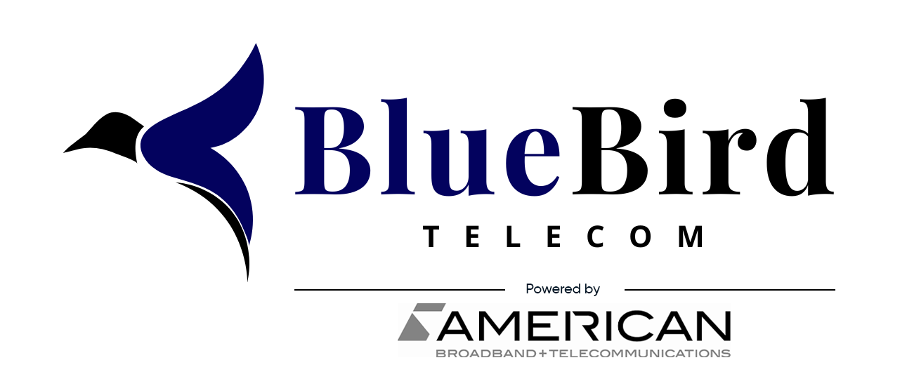 bluebirdtelecom-logo