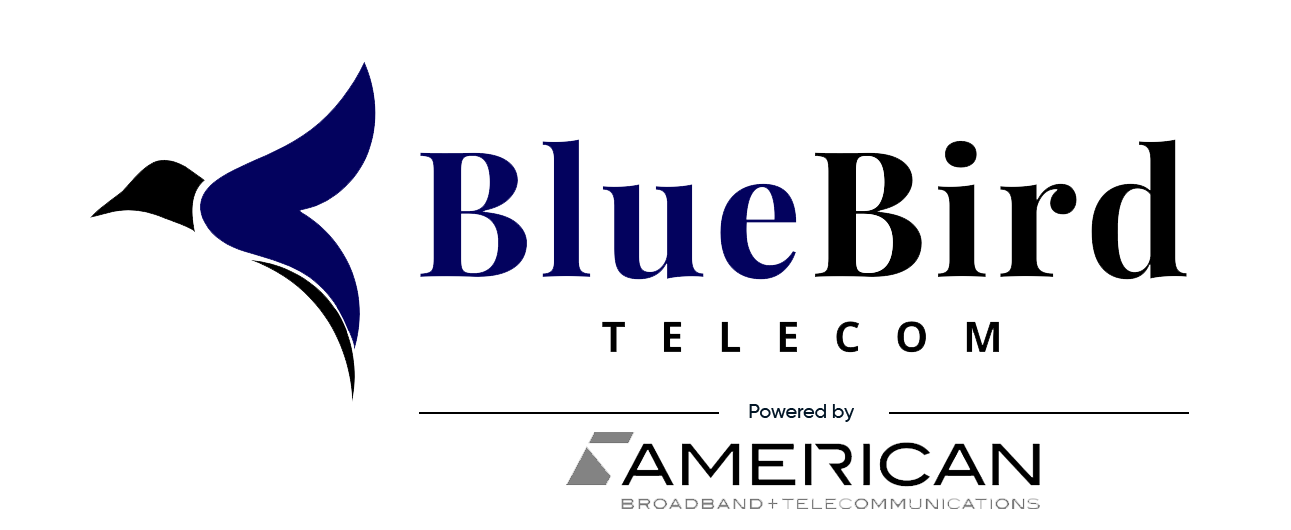 bluebirdtelecom-logo